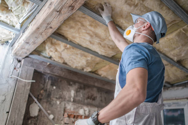 Best Insulation Maintenance and Repair in Emerald Lake Hills, CA