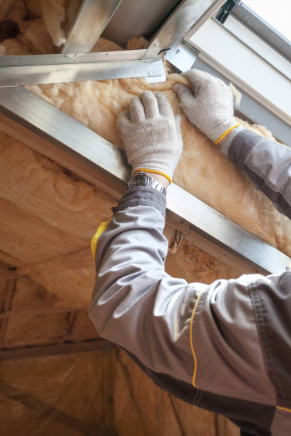 Best Blown-in Insulation in Emerald Lake Hills, CA