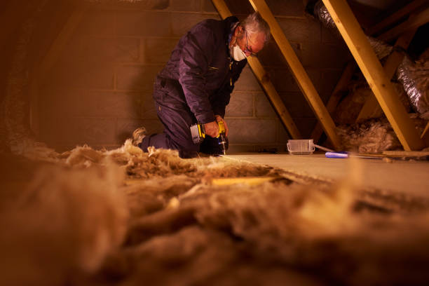 Best Commercial Insulation in Emerald Lake Hills, CA