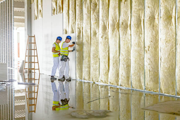 Best Insulation for Specific Applications in Emerald Lake Hills, CA